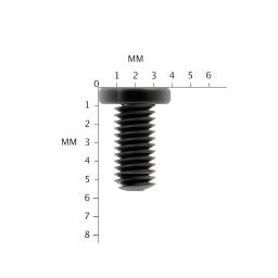 M2 x 5mm Laptop Screws