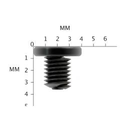 M2 x 3mm Laptop Screws