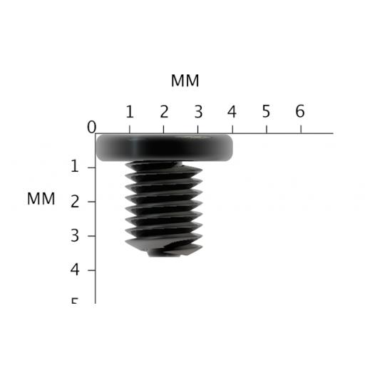 M2 x 3mm Laptop Screws